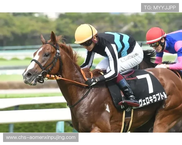 专业澳门赛马资讯解读赛马行业发展趋势与未来赛事预测内容 专业澳门赛马资讯解读赛马行业发展趋势与未来赛事预测内容