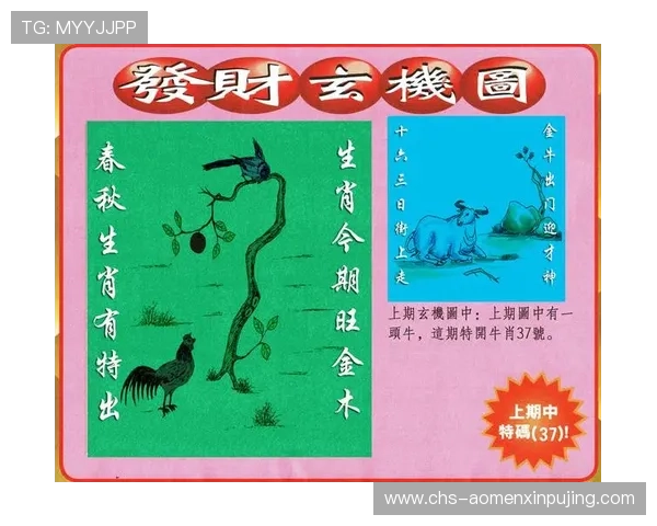 澳门彩旗舰厅官方地址官方入口地址查询，快速找到正规安全的线上博彩平台